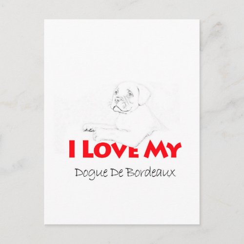 I love my Dogue de sketch Bordeaux Postcard