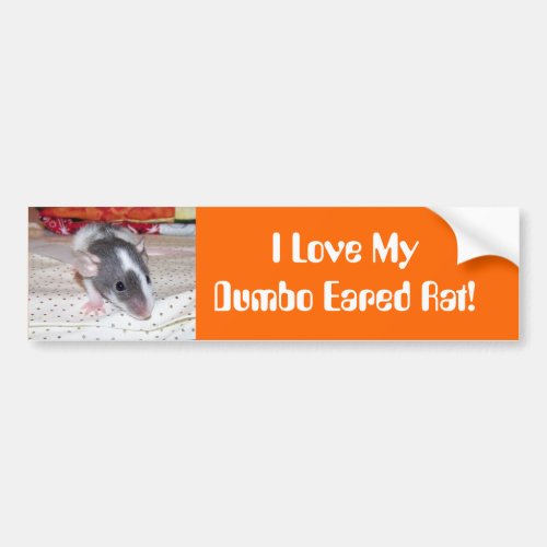 I love my dumbo eared rat bumper sticker