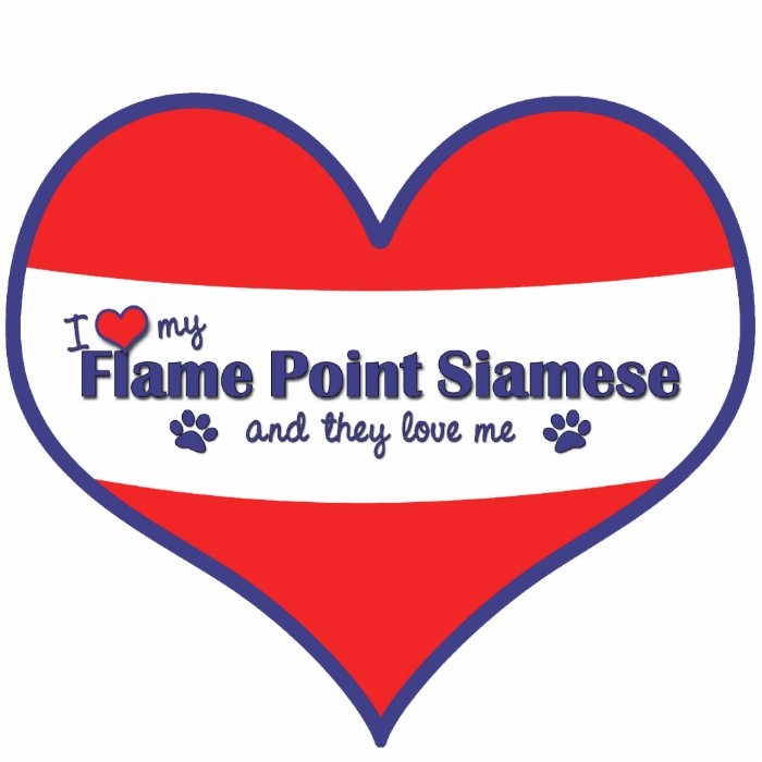 I Love My Flame Point Siamese (Multiple Cats) Acrylic Cut Outs