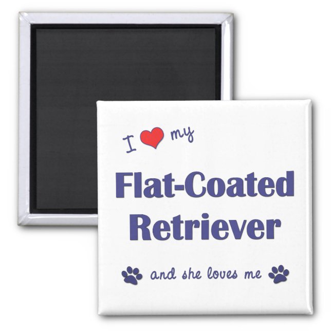 I Love My Flat-Coated Retriever (Female Dog) Magnet (Front)