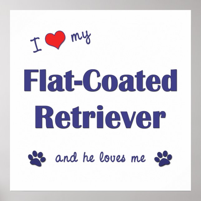 I Love My Flat-Coated Retriever (Male Dog) Poster (Front)