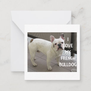 I Love My French Bulldog Note Card