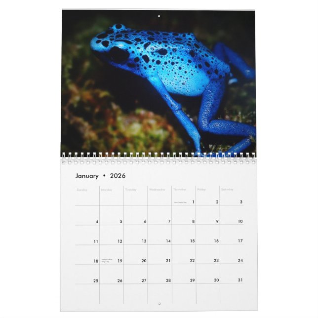 I love my Frogs Custom Printed Calendar (Jan 2026)