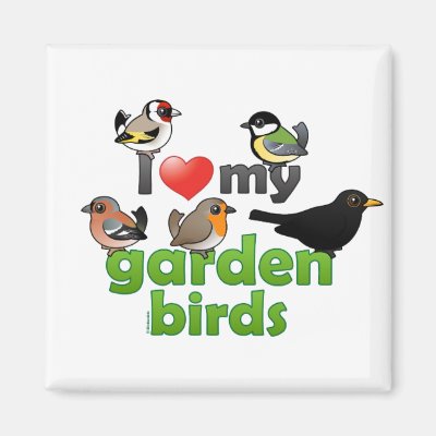 I Love My Garden Birds Magnet