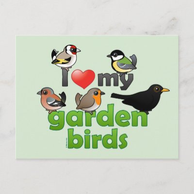 I Love My Garden Birds Postcard