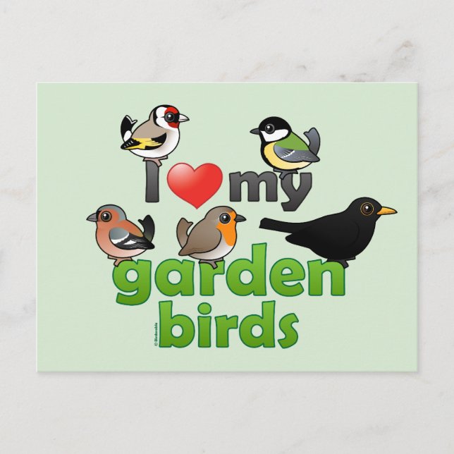 I Love My Garden Birds Postcard (Front)