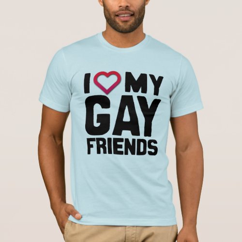 I LOVE MY GAY FRIENDS _png T_Shirt
