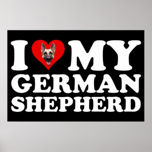 I Love My German Shepherd Poster