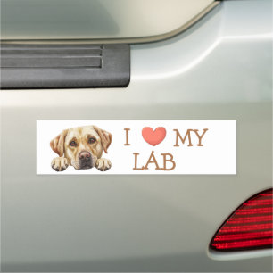 I love My Golden Labrador Heart Car Magnet