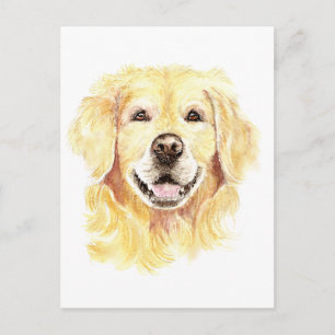 I Love my Golden Retriever, Dog, Pet Postcard
