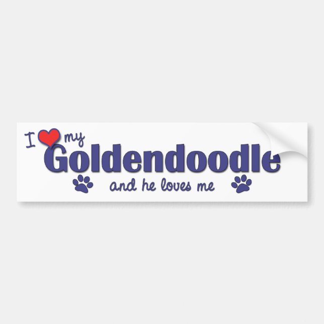 I Love My Goldendoodle (Male Dog) Bumper Sticker (Front)