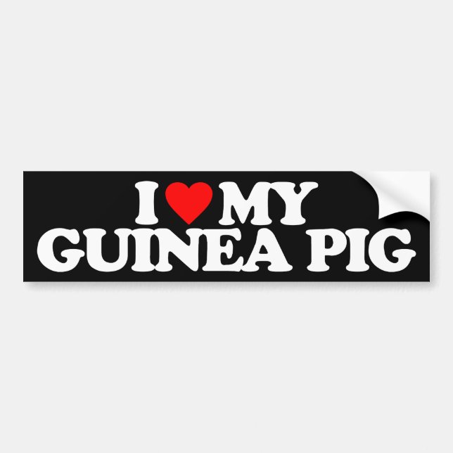 I LOVE MY GUINEA PIG BUMPER STICKER (Front)