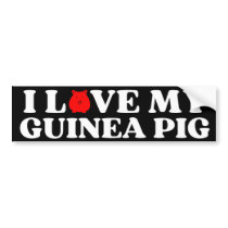 i love my GUINEA PIG  Bumper Sticker