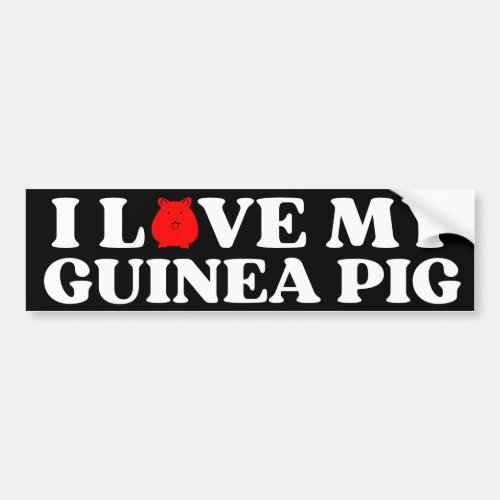 i love my GUINEA PIG  Bumper Sticker