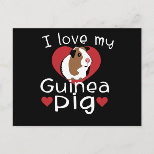 I Love My Guinea Pig Cute Guinea Pig Lovers Postcard