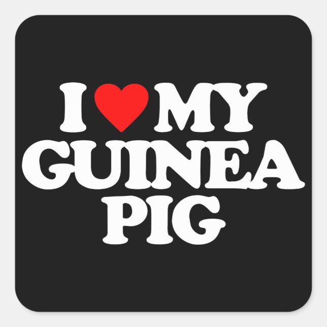 I LOVE MY GUINEA PIG SQUARE STICKER (Front)