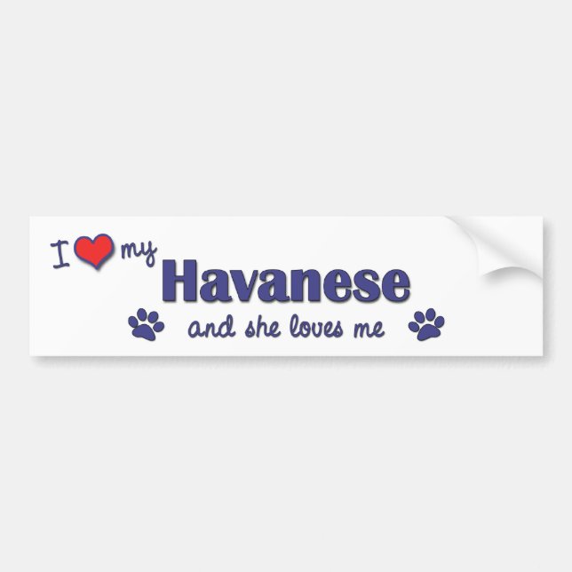 I Love My Havanese (Female Dog) Bumper Sticker (Front)