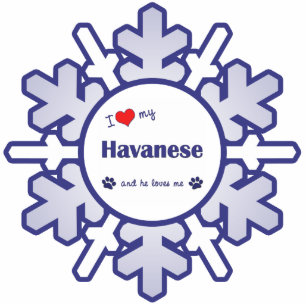I Love My Havanese (Male Dog) Cutout