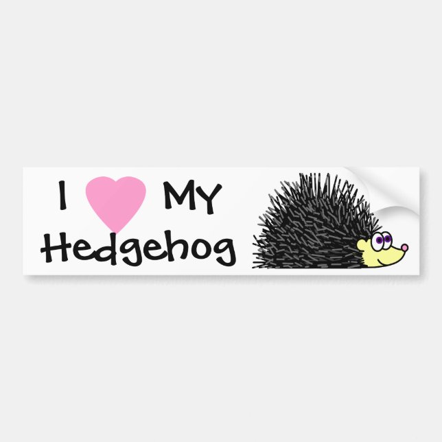 I Love My Hedgehog Bumper Sticker (Front)