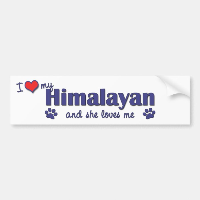 I Love My Himalayan (Female Cat) Bumper Stickers