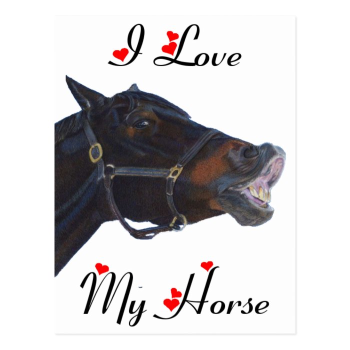 I Love My Horse Funny Post Card