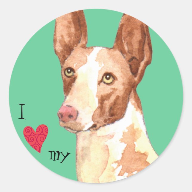 I Love my Ibizan Hound Classic Round Sticker (Front)