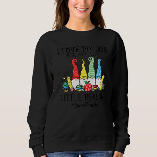I Love My Job For All The Little Reasons Sped Teac Sweatshirt