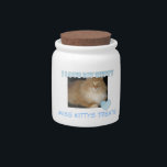 I Love My Kitty Treat Jar<br><div class="desc">Pretty Blue: I Love My Kitty Treat Jar. Personalize by adding your kittys name and picture.</div>