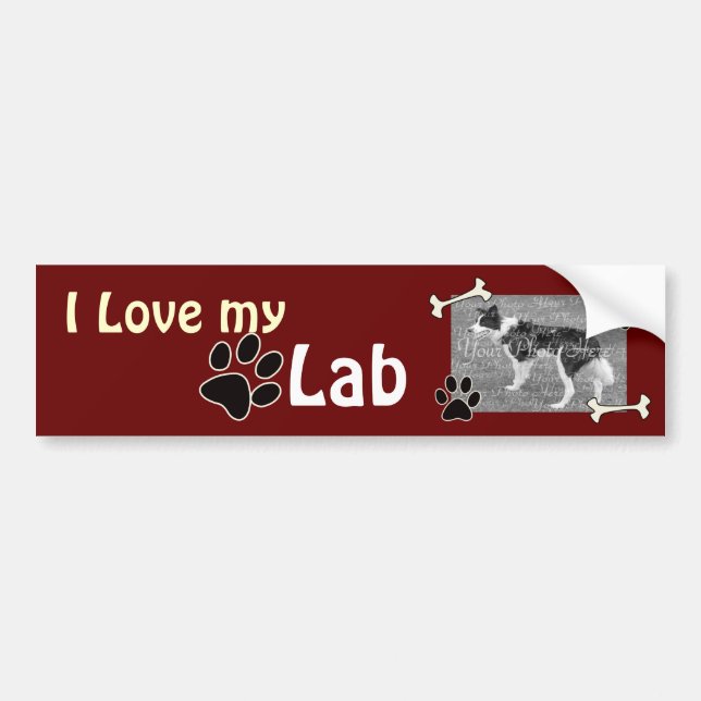 I love my Lab Bumper Sticker (Front)