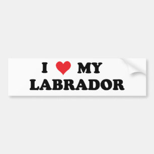 I Love My Labrador Bumper Sticker