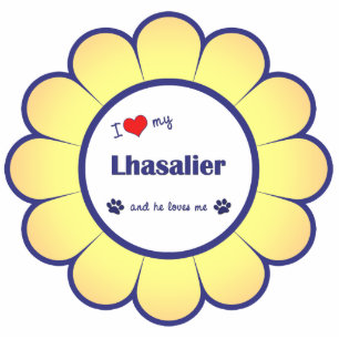 I Love My Lhasalier (Male Dog) Statuette