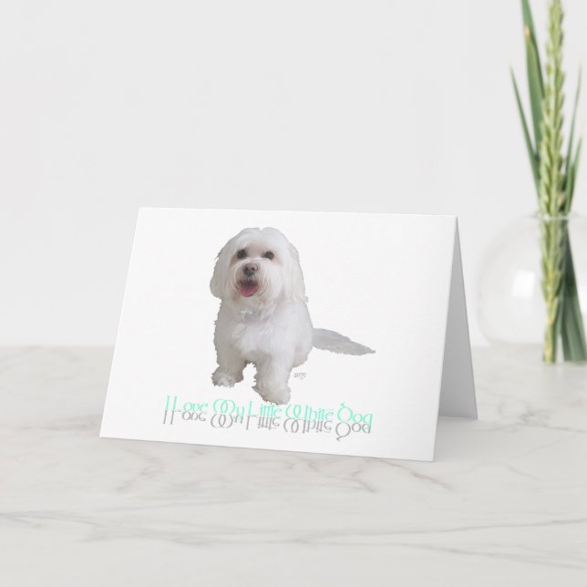 I Love My Little White Dog - Havanese Card (Front)