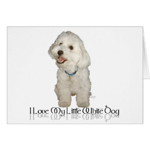 I Love My Little White Dog - Havanese Cards