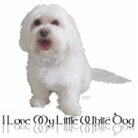 I Love My Little White Dog - Havanese Statuette<br><div class="desc">Little White Dog Rescue saved this Havanese in 2010. Now happy in a forever home, the dog is acting as an ambassador to the world for rescued dogs everywhere. Every purchase from our Shop will help save dogs in need of our rescue services. Find the perfect greeting cards, note cards...</div>