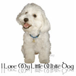 I Love My Little White Dog - Havanese Statuette<br><div class="desc">Each of the designs is available on all of the Zazzle products.  Please scroll to Transfer This Design on this product's page and choose your favorite product.  You may customize your choice with our Text Tool,  as well.  There are many marvelous Fonts to choose from.  Thank you!</div>