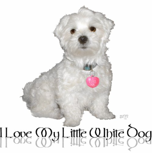I Love My Little White Dog _ Maltese  Cutout