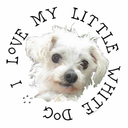 I Love My Little White Dog _ Maltese Cutout