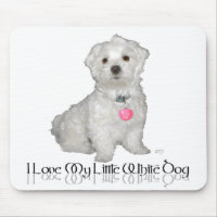 I Love My Little White Dog - Maltese !
