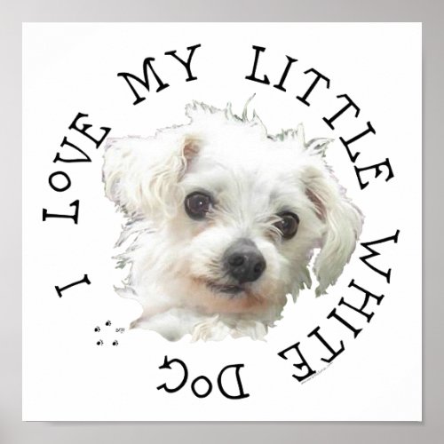 I Love My Little White Dog _ Maltese Poster