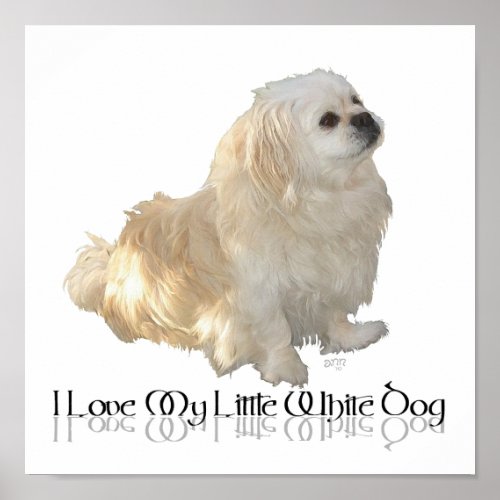 I Love My Little White Dog _ Pekingese  Poster