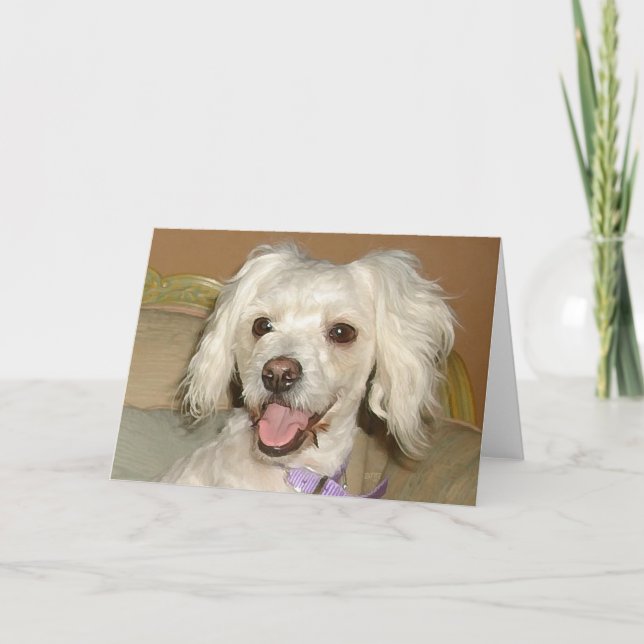 I Love My Little White Dog Poodle / Bichon Mix Card (Front)