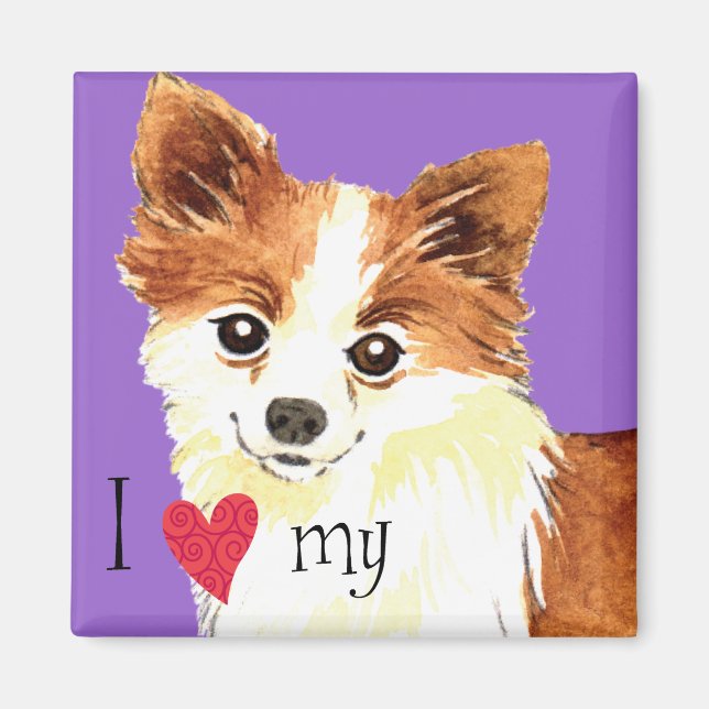 I Love my Long Coat Chihuahua Magnet (Front)