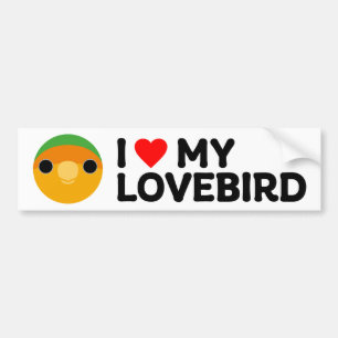 I LOVE MY LOVEBIRD – Peach-faced (orange-faced) Bumper Sticker