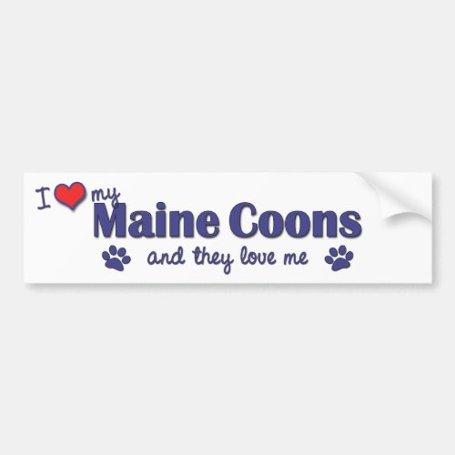 I Love My Maine Coons Multiple Cats Bumper Sticker