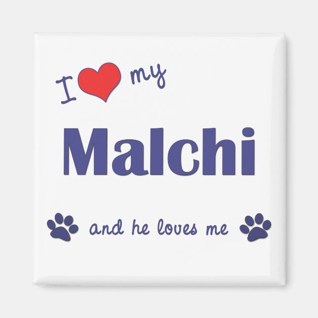 I Love My Malchi (Male Dog) Magnet (Front)