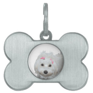 I Love My Maltese Lili  Pet ID Tag