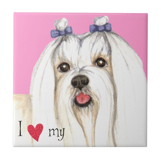 I Love my Maltese Tile (Front)
