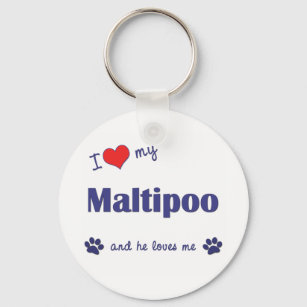 I Love My Maltipoo (Male Dog) Keychain