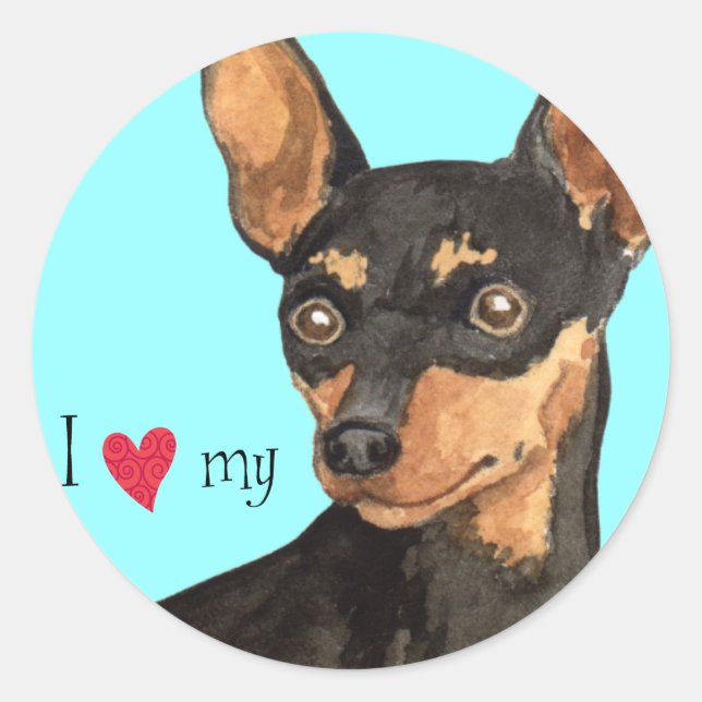 I Love my Min Pin Classic Round Sticker (Front)