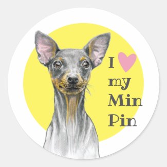 I love my Min Pin Miniature pinscher Cute Dog